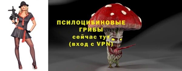 крисы Кукмор